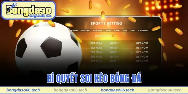 Bí quyết soi kèo bóng đá hiệu quả cao từ chuyên gia