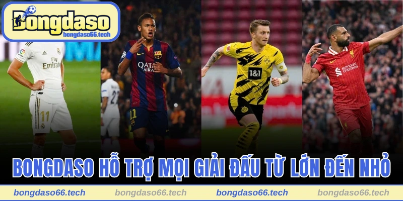 Bongdaso hỗ trợ mọi giải đấu từ lớn đến nhỏ