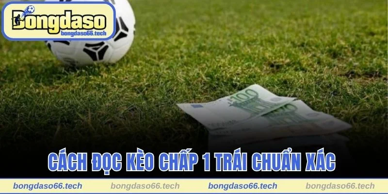 Cách đọc kèo chấp 1 trái chuẩn xác cho người mới bắt đầu