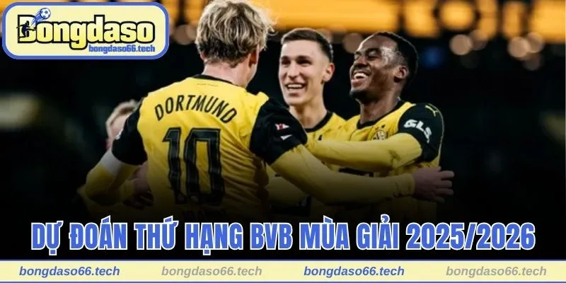 Dự đoán thứ hạng BVB mùa giải 2025/2026