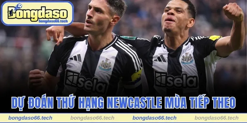 Thứ Hạng Của Newcastle - Hành Trình Chinh Phục Vinh Quang 3 Dự đoán thứ hạng Newcastle mùa tiếp theo