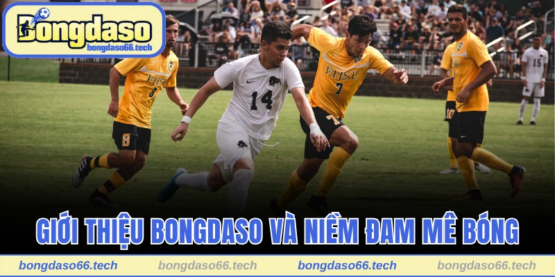 Giới thiệu Bongdaso và niềm đam mê bóng