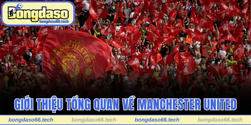 Giới thiệu tổng quan về Manchester United