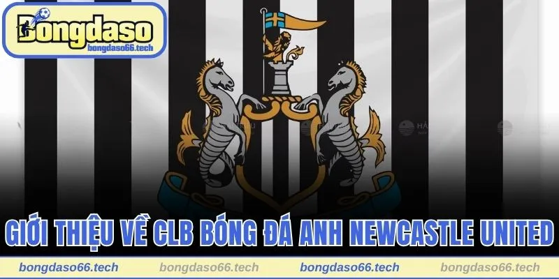Thứ Hạng Của Newcastle - Hành Trình Chinh Phục Vinh Quang 1 Giới thiệu về CLB bóng đá Anh Newcastle United
