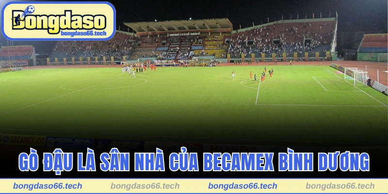 Becamex Bình Dương – Đội Bóng Mệnh Danh Đại Bàng Tím 3 Gò Đậu là sân nhà với sức chứa 18.250 chỗ ngồi
