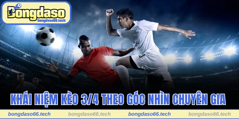 Khái niệm kèo 3/4 theo góc nhìn chuyên gia 