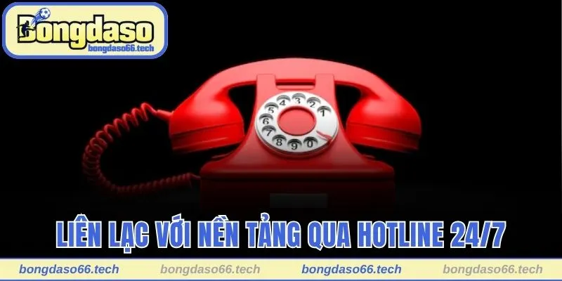 Liên lạc với nền tảng qua hotline 24/7