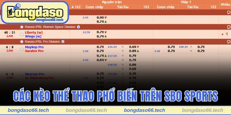 Một số loại kèo thể thao phổ biến trên SBO Sports