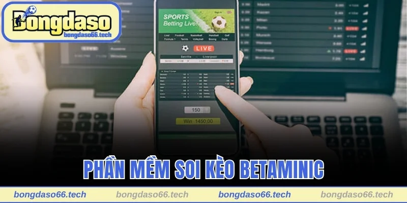 Phần mềm soi kèo Betaminic