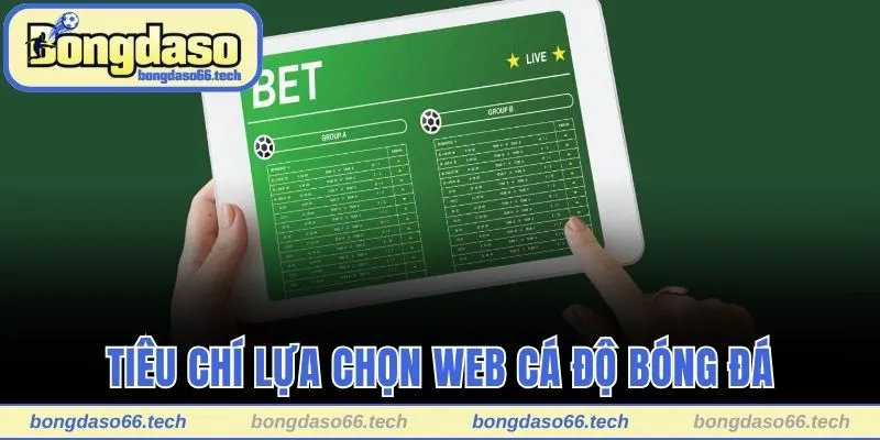 Tiêu chí lựa chọn web cá độ bóng đá lý tưởng
