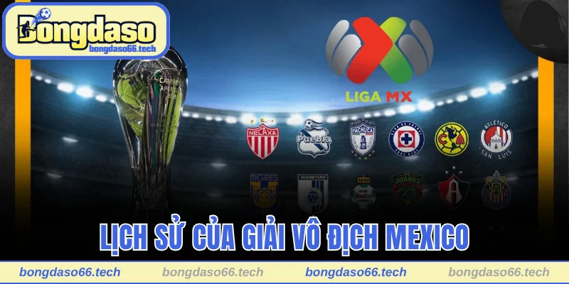 Tìm hiểu lịch sử của giải vô địch Mexico