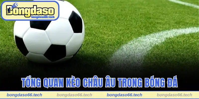 Tổng quan kèo Châu Âu trong bóng đá