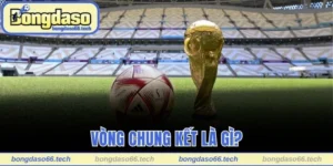 Vòng chung kết là gì